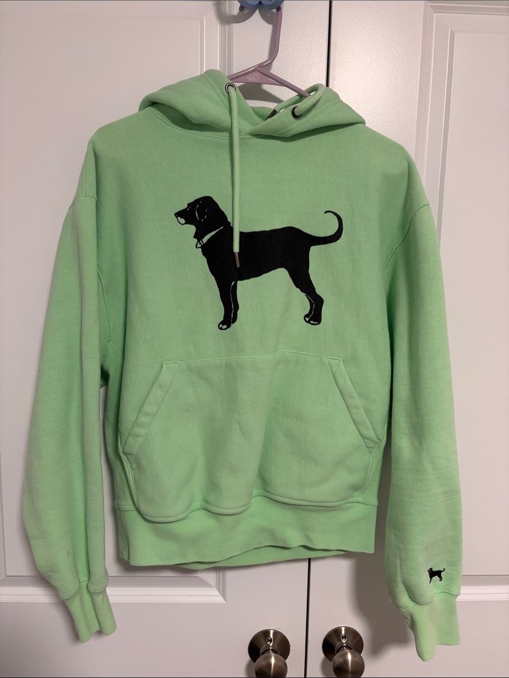 The Black Dog Mint Green Hoodie with Black Dog Graphic